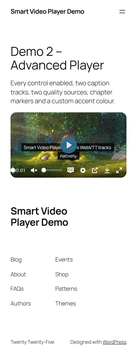 The advanced player on a 390-pixel-wide phone viewport, control bar intact and the video filling the column width.