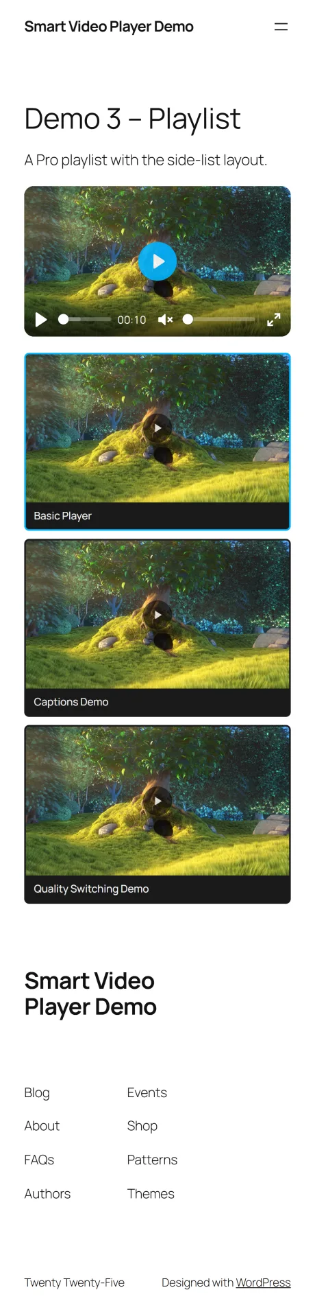 A playlist on a phone viewport with the video on top and playlist items stacked below it.
